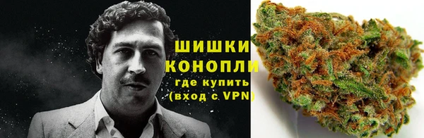 сатива Балабаново
