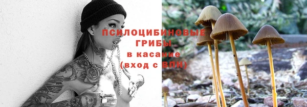 сатива Балабаново