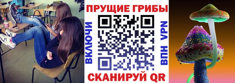 Псилоцибиновые грибы мицелий  Петухово 